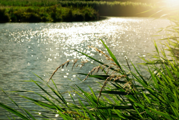水文,河流